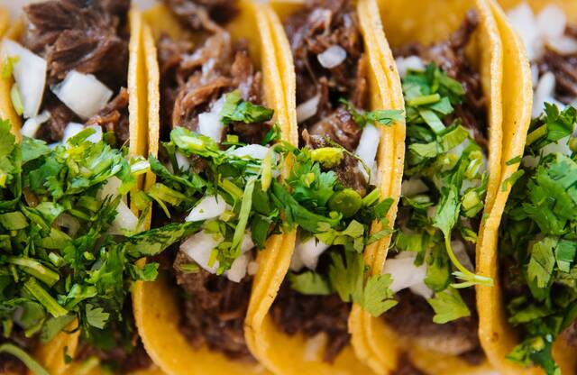 129533441_web1_jeswin-thomas-z_PfaGzeN9E-unsplash--1- TacoFest attendees will enjoy a fun day of food, drinks, a comedy gameshow, and Chihuahua Beauty contests.