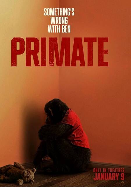<p>‘Primate’ — set in Hawaii, where a family pet is bitten and contracts rabies — was better than our critic anticipated.</p>
<p>Submitted Image</p>