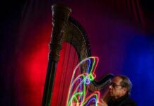 
			
				                                NEPA Philharmonic Principal Harpist André Tarantiles will be featured March 12 in a concert that includes The Magic Harp by Irish composer Ina Boyle.
                                 Darren Elias Photography

			
		
