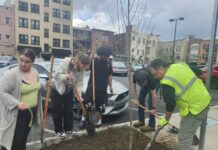 Editorial: Earth Day is about making small, personal changes and impacts
Working to plant a tree in downtown Wilkes-Barre on a recent Friday morning are Career and Technical Center students Nebula Newhart, Reily Mills, Danny Ortiz and David Johnson with urban forester Vinnie Cotrone.
Mary Therese Biebel | Times Leader